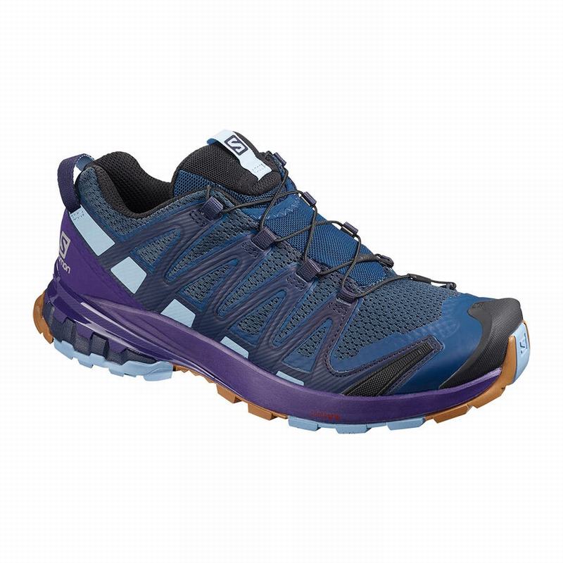 Zapatillas Trail Running Salomon Mujer Azul Marino / Moradas Indigo - Salomon Argentina XA PRO 3D V8